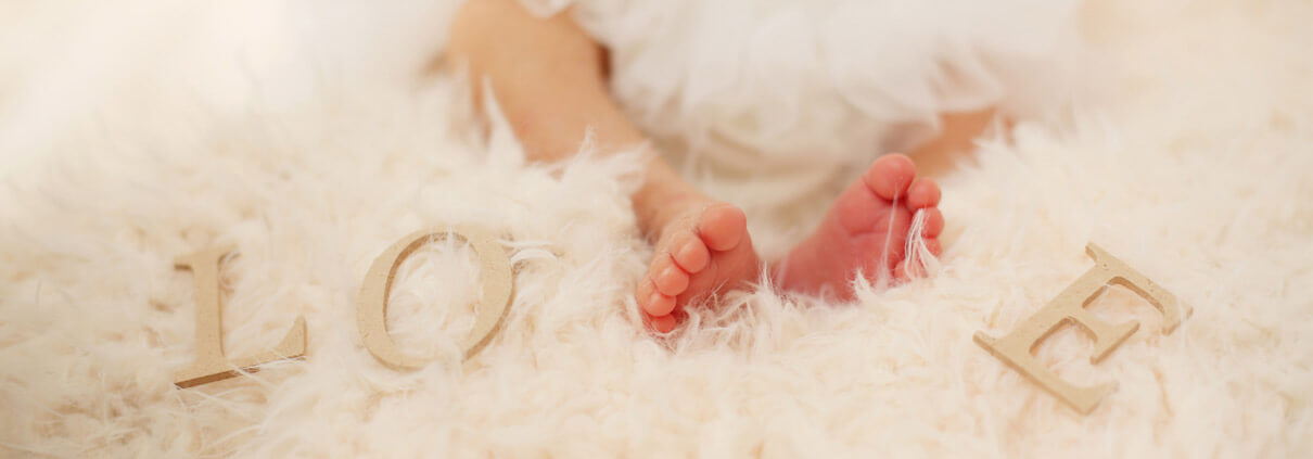 Vivien Anniversary (ヴィヴィアンアニバーサリー)