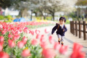 ハッピーフォトスタジオの写真_入園・入学_1